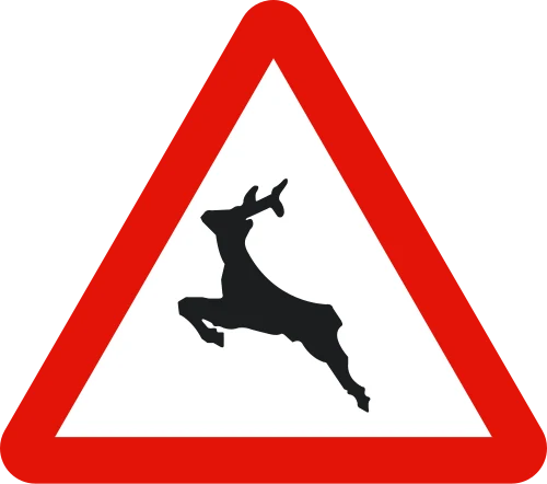 P-24. Animales en libertad, sobre todo al amanecer y al anochecer.